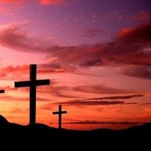 Meet your Posher, Judy